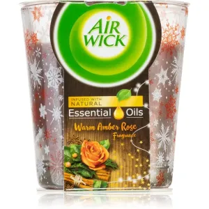 Air Wick Magic Winter Warm Amber Rose bougie parfumée 105 g