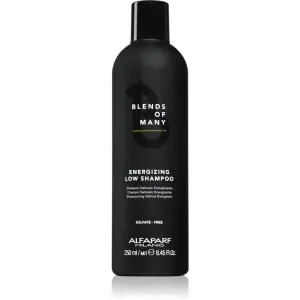 Alfaparf Milano Blends of Many Energizing shampoing énergisant pour cheveux fins et sans volume 250 ml