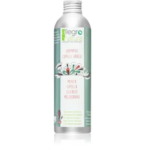 Allegro Natura Organic shampoing pour cheveux gras 250 ml