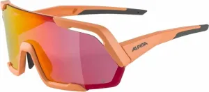 Des lunettes de soleil Alpina