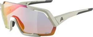 Alpina Rocket QV Cool/Grey Matt/Rainbow Lunettes vélo