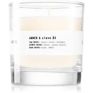 Ambientair Lab Co. Amber & Clove bougie parfumée 200 g