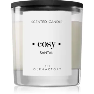 Ambientair Olphactory Black Design Santal bougie parfumée (Cosy) 200 g