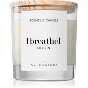 Ambientair The Olphactory Oxygen bougie parfumée (Breathe) 200 g