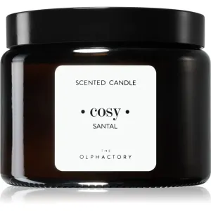 Ambientair The Olphactory Santal bougie parfumée (brown) Cosy 360 g