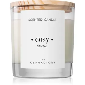 Ambientair The Olphactory Santal bougie parfumée (Cosy) 200 g