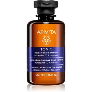 Apivita Men's Care HippophaeTC & Rosemary shampoing anti-chute 250 ml