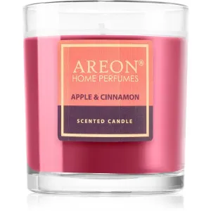 Areon Scented Candle Apple & Cinnamon bougie parfumée 120 g