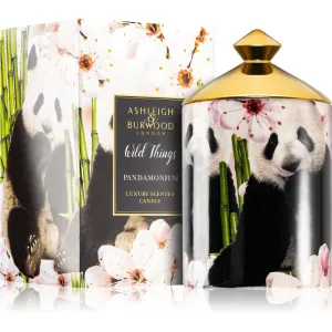 Ashleigh & Burwood London Wild Things Pandamonium bougie parfumée 320 g #117317