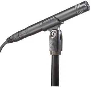 Audio-Technica AT2031 Microphone à condensateur pour instruments