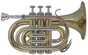 Bach PT650 Bb Bb Trompette