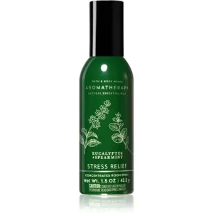Bath & Body Works Eucalyptus Spearmint parfum d'ambiance 42,5 g