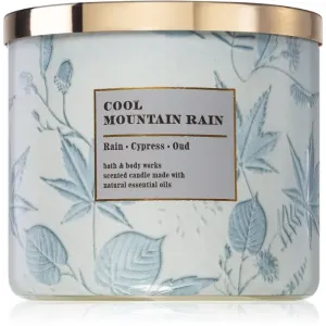 Bath & Body Works Cool Mountain Rain bougie parfumée 411 g