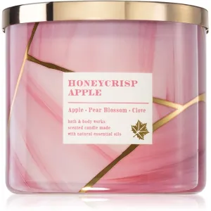 Bath & Body Works Honeycrisp Apple bougie parfumée 411 g #679284