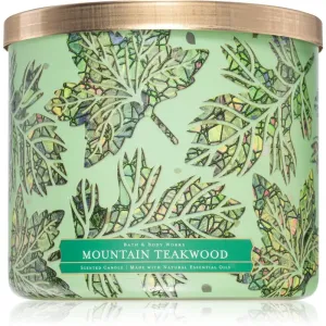 Bath & Body Works Mountain Teakwood bougie parfumée 411 g