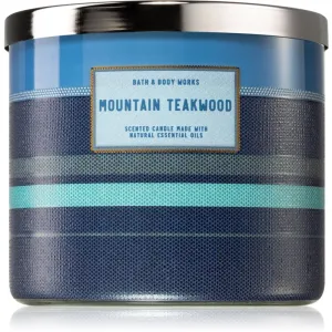 Bath & Body Works Mountain Teakwood bougie parfumée I. 411 g