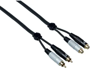 Bespeco EA2X300 3 m Câble Audio