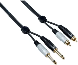 Bespeco EAY2JR150 1,5 m Câble Audio