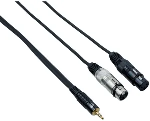 Bespeco EAYMS2FX150 1,5 m Câble Audio