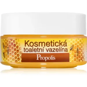 Bione Cosmetics Honey + Q10 vaseline cosmétique 155 ml