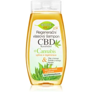 Bione Cosmetics Cannabis CBD shampoing régénérant avec CBD 260 ml