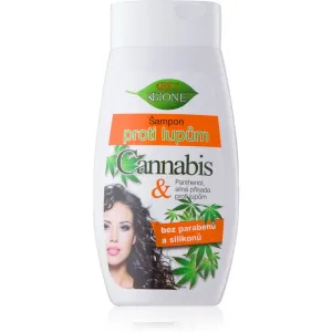 Bione Cosmetics Cannabis shampoing antipelliculaire 260 ml