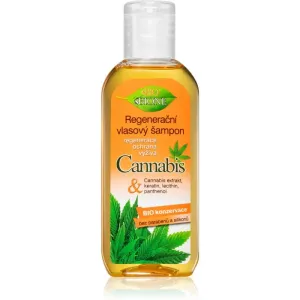 Bione Cosmetics Cannabis shampoing régénérant 80 ml