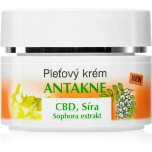 Bione Cosmetics Antakne crème visage au soufre 51 ml
