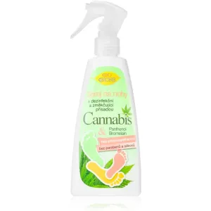 Bione Cosmetics Cannabis spray pieds 260 ml