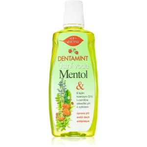 Bione Cosmetics Dentamint Menthol bain de bouche 500 ml #106853