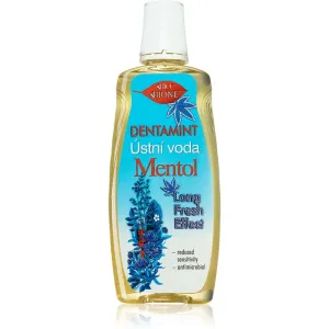 Bione Cosmetics Dentamint Menthol bain de bouche 500 ml
