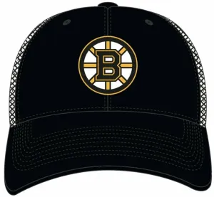 Le hockey Boston Bruins