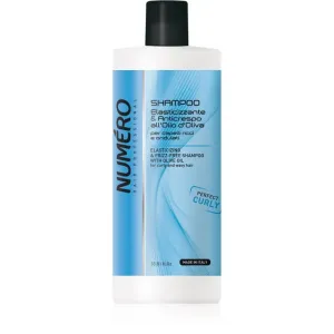 Brelil Professional Elasticizing & Frizz-Free Shampoo shampoing pour cheveux bouclés 1000 ml