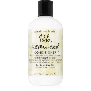 Bumble and bumble Seaweed Conditioner après-shampoing usage quotidien 250 ml