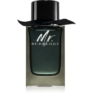 Burberry Mr. Burberry Eau de Parfum pour homme 150 ml #110582