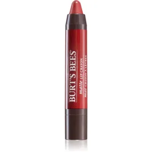 Burt’s Bees Lip Crayon rouge à lèvres forme crayon effet mat teinte 3.1 g
