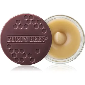 Burt’s Bees Lip Scrub gommage lèvres effet nourrissant 7.08 g #116179