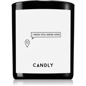 Candly & Co. I wish you were here bougie parfumée 250 g