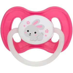 Canpol babies Bunny & Company 0-6m tétine Pink 1 pcs