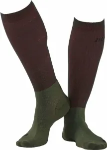 CEP WP30T Recovery Tall Socks Men Forest Night III Chaussettes de course