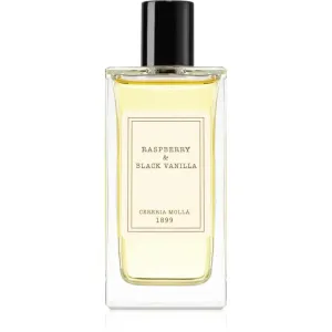 Cereria Mollá Raspberry & Black Vanilla parfum d'ambiance 100 ml