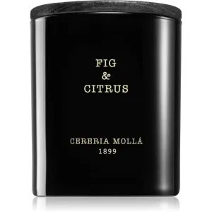 Cereria Mollá Boutique Fig & Citrus bougie parfumée 230 g