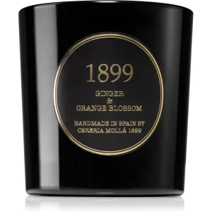 Cereria Mollá Gold Edition Ginger & Orange Blossom bougie parfumée 600 g