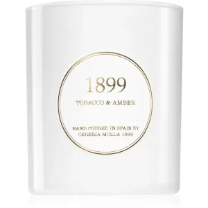 Cereria Mollá Gold Edition Tobacco & Amber bougie parfumée 230 g