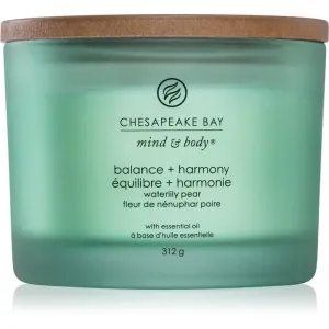 Chesapeake Bay Candle Mind & Body Balance & Harmony bougie parfumée I. 312 g