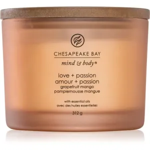Chesapeake Bay Candle Mind & Body Love & Passion bougie parfumée I. 312 g