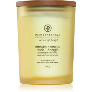 Chesapeake Bay Candle Mind & Body Strength & Energy bougie parfumée 250 g