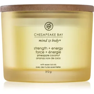 Chesapeake Bay Candle Mind & Body Strength & Energy bougie parfumée I. 312 g