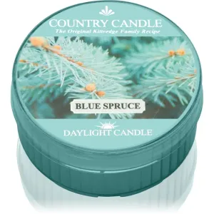 Country Candle Blue Spruce bougie chauffe-plat 42 g