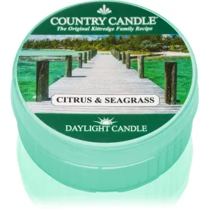 Country Candle Citrus & Seagrass bougie chauffe-plat 42 g
